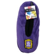 Wholesale - 1pk FRIENDS FRAME SOCKS SIZE 9-11, UPC: 193159204273